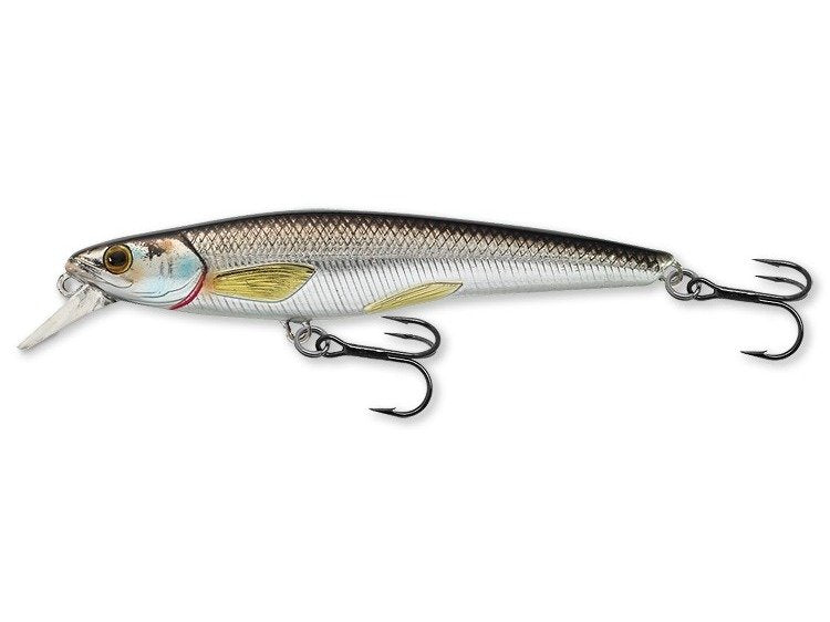LiveTarget Rainbow Smelt Jerkbait — Shallow Dive, 3 5/8 in