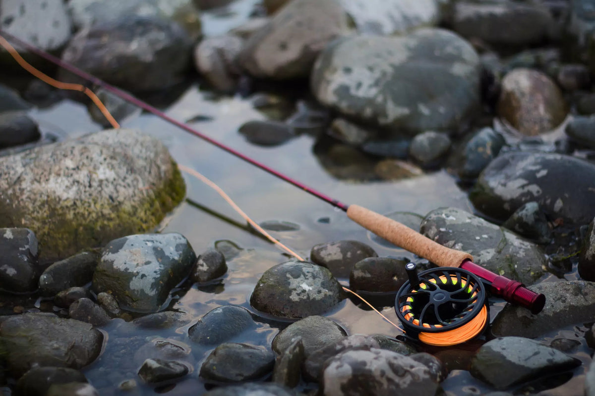 TFO Bug Launcher Fly Rod