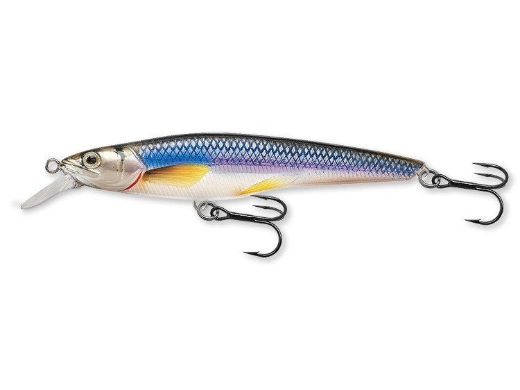 LiveTarget Rainbow Smelt Jerkbait — Shallow Dive, 3 5/8 in