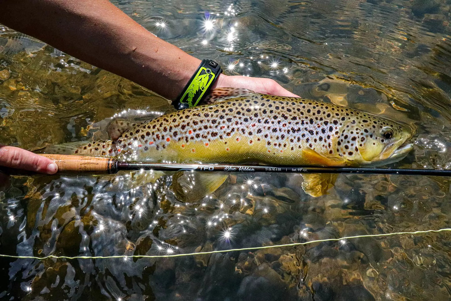 TFO Blue Ribbon Fly Rod
