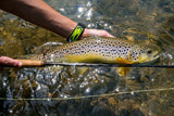 TFO Blue Ribbon Fly Rod