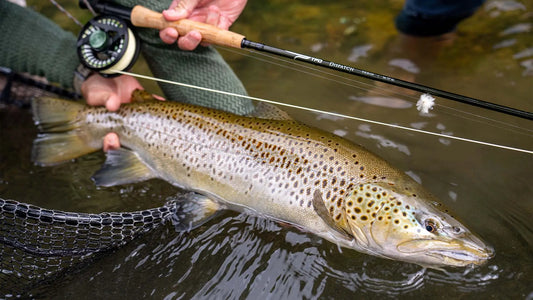 TFO Dispatch Fly Rod