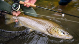 TFO Dispatch Fly Rod