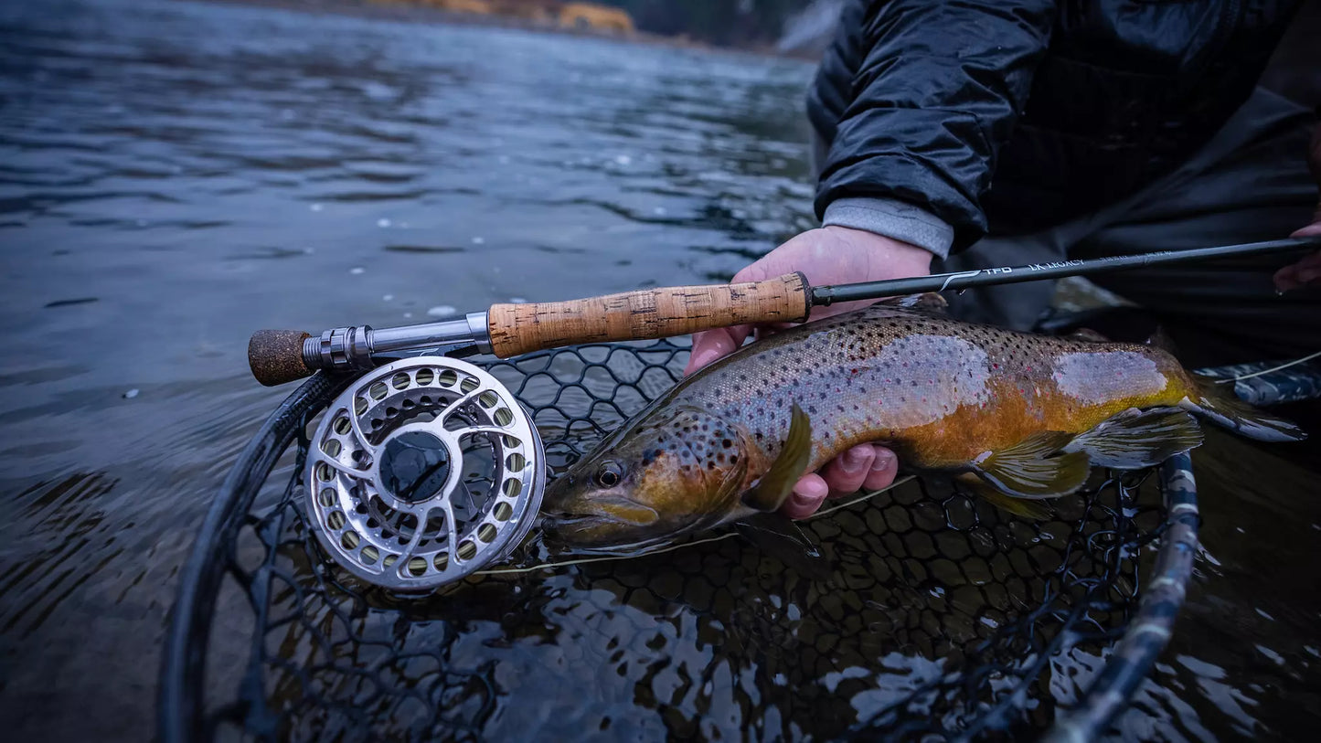 TFO Legacy Fly Rod