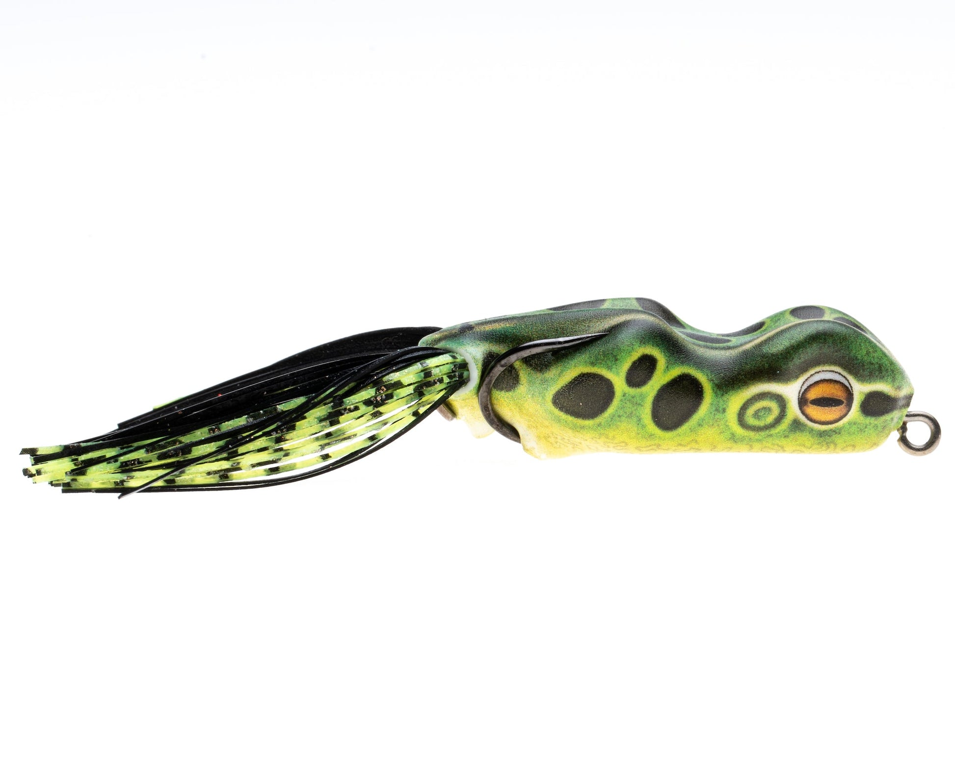 Scum Frog Trophy Series Leopard