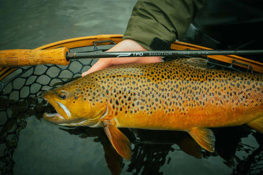 TFO Solution Fly Rod