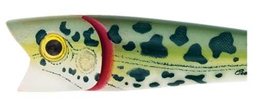 Creek Chub Knuckle Head Jr. — Natural Frog