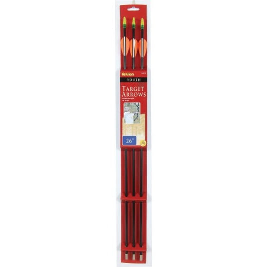 Allen Youth Fiberglass Target Arrows — 3 Pack
